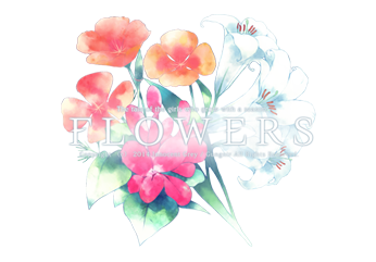 Innocent Grey 7thタイトル Innocent Grey 7thタイトル